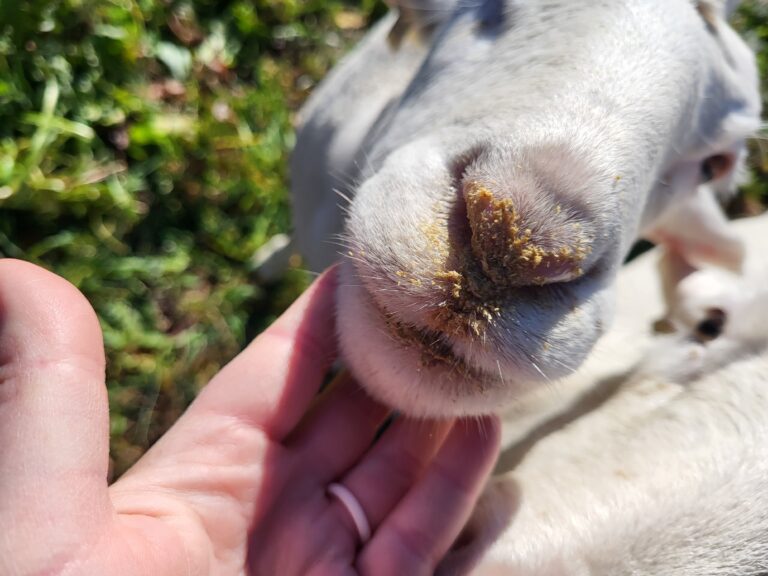 Her favorite hobby is eating