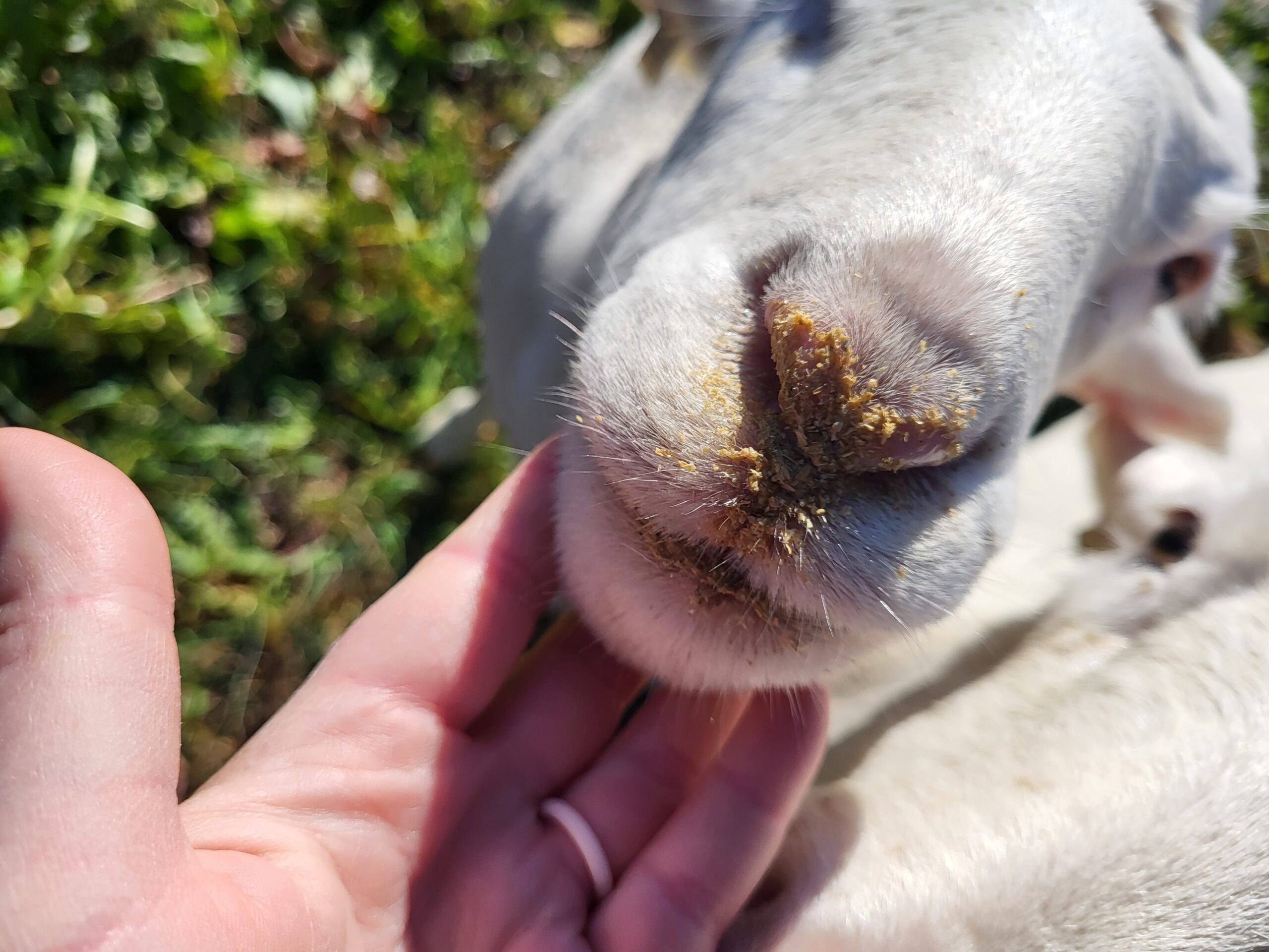 Her favorite hobby is eating