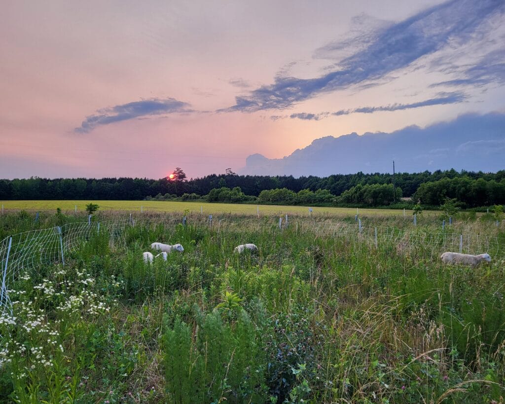 A view that dreams are made out of