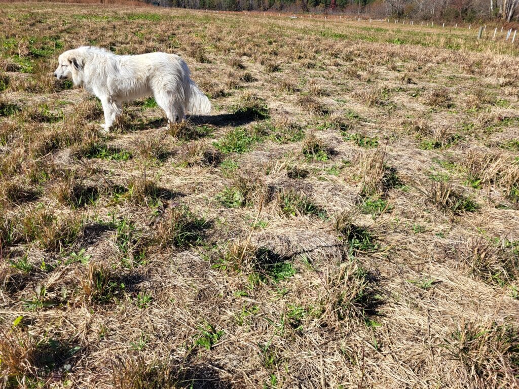 A lot of ground to cover