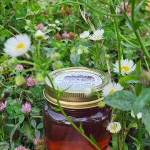 Honey in flowers