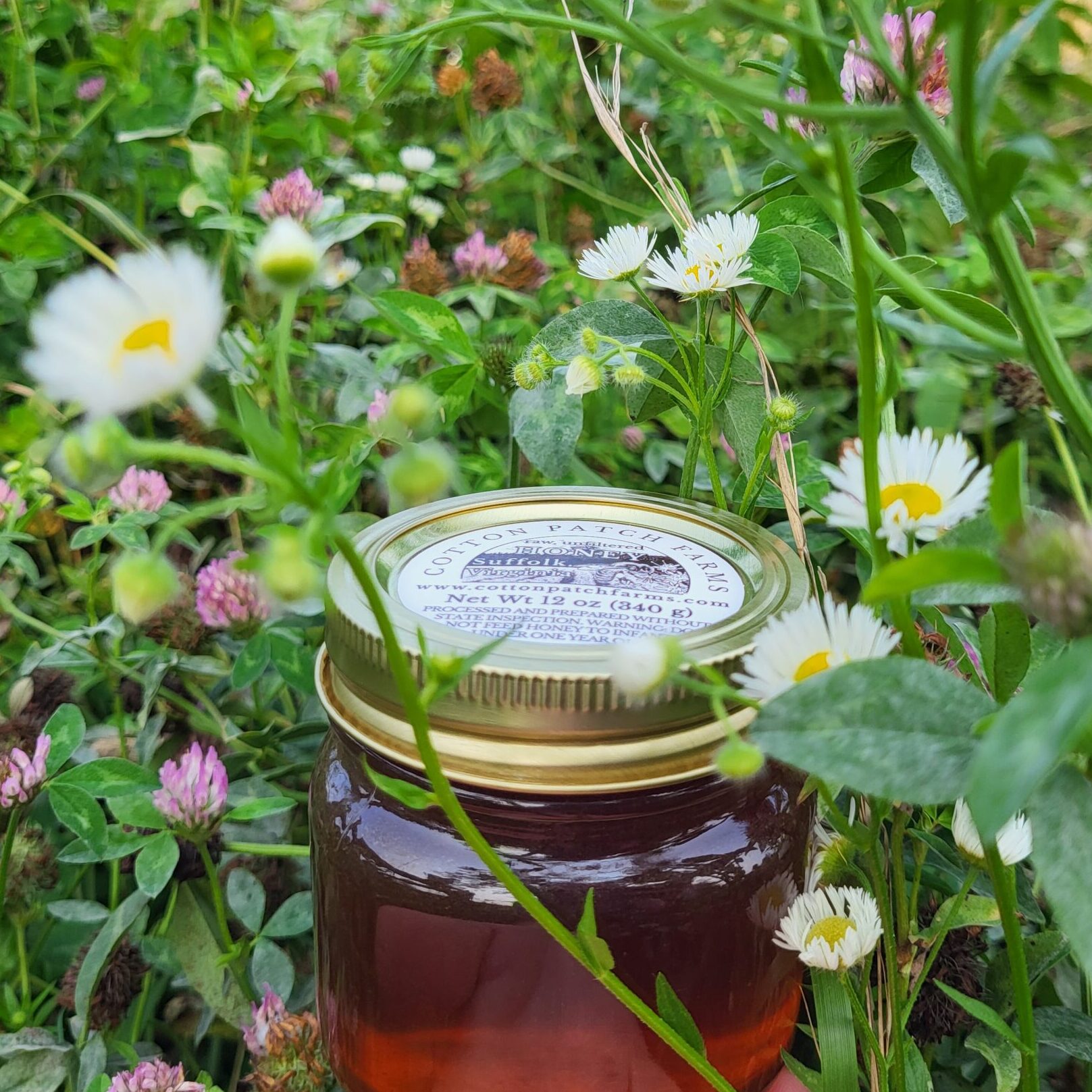 Honey in flowers